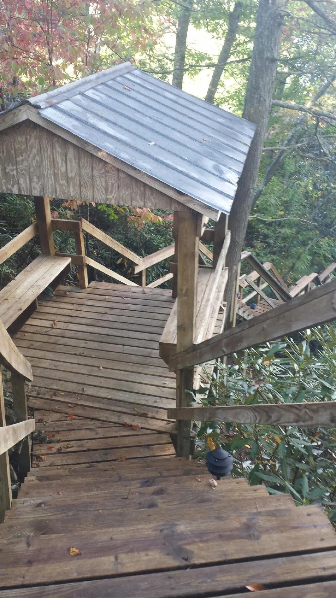 Metal roofed shelter over wooden steps on a wooded walkway — Skylight Repair & Installation work by our crew in Rossburg
