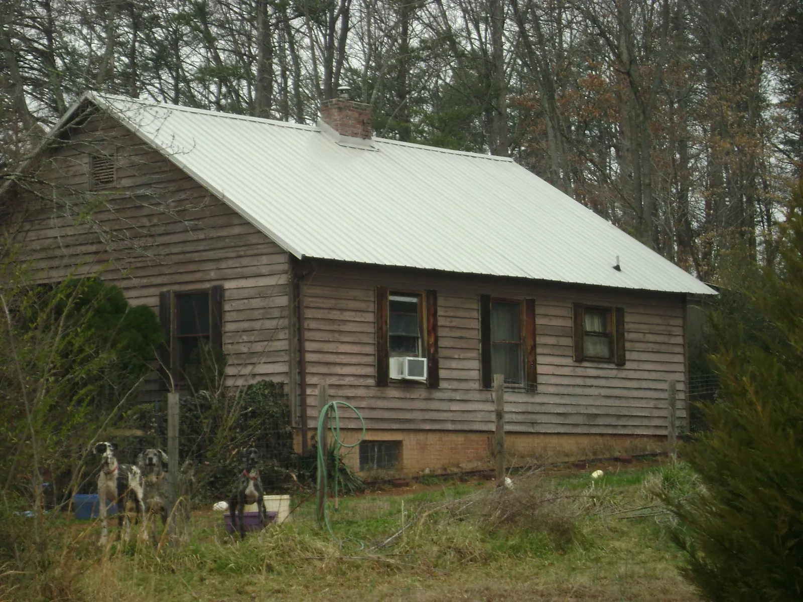 White metal roof on an old wood sided farmhouse, from a Asphalt Shingle Roof Repair job in Rossburg